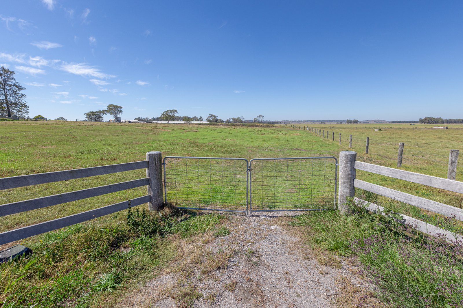 46 High Street WALLALONG 10