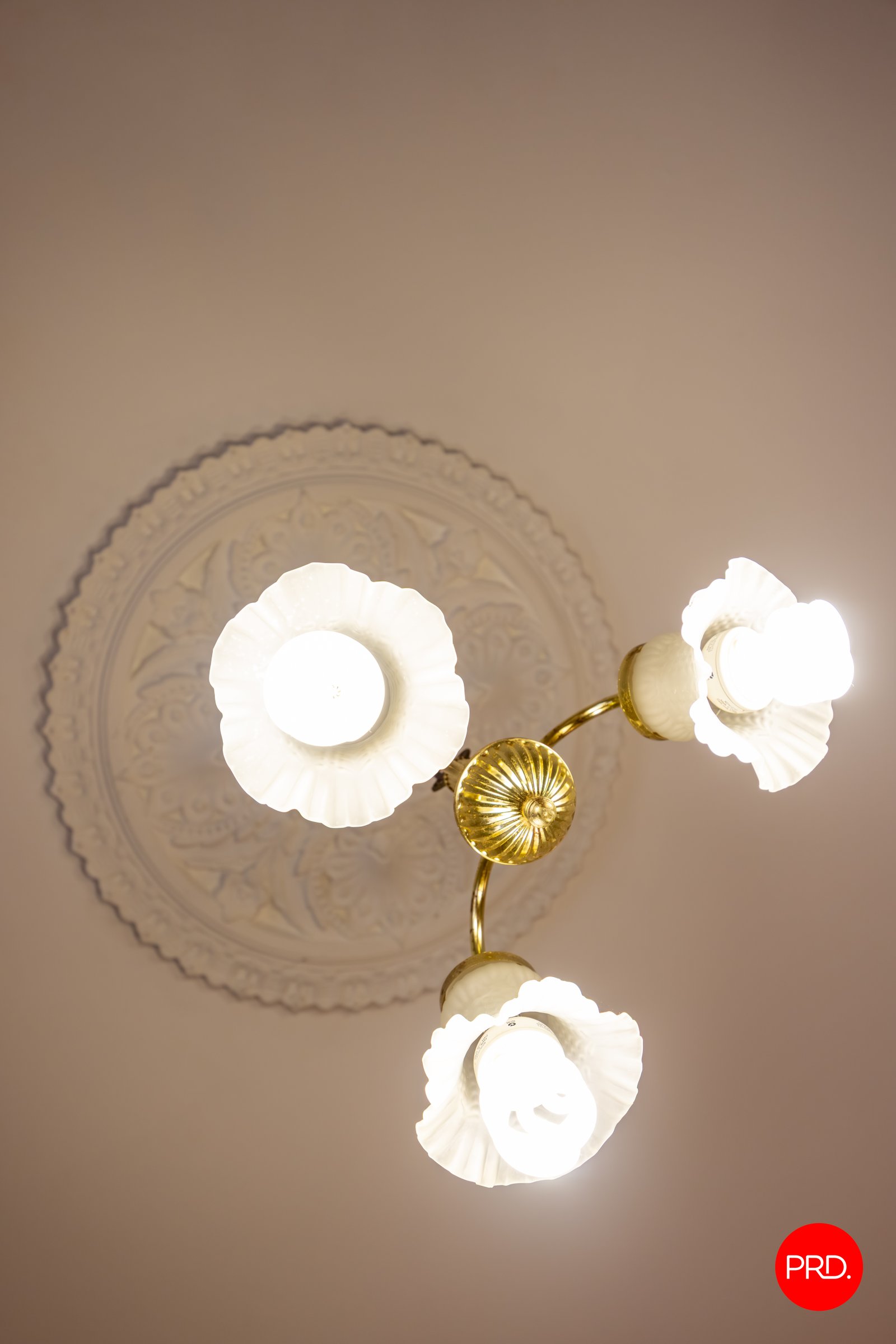 46 Honeysuckle Street BENDIGO 12