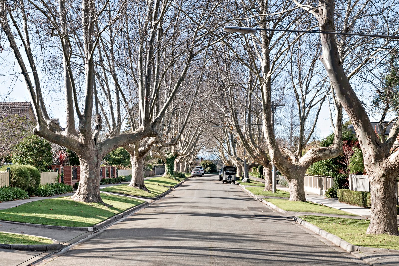 Real Estate and Property in 46 Hopetoun Avenue, Canterbury, VIC