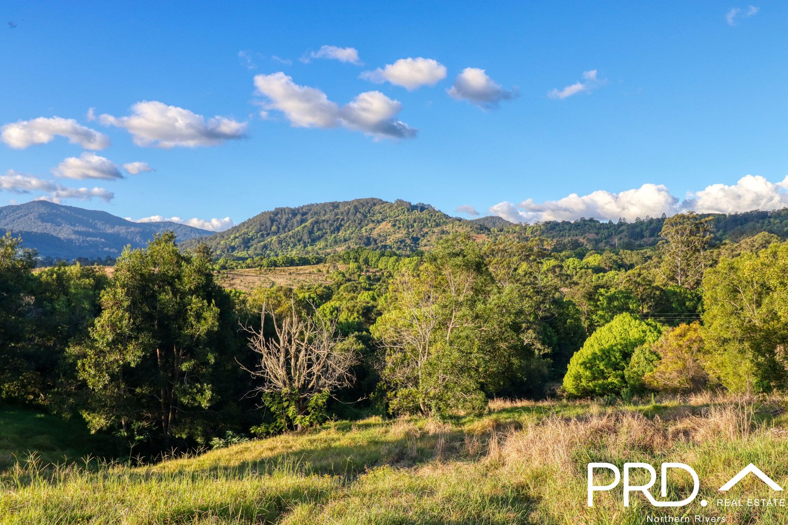 46 Kirkland Road NIMBIN 1