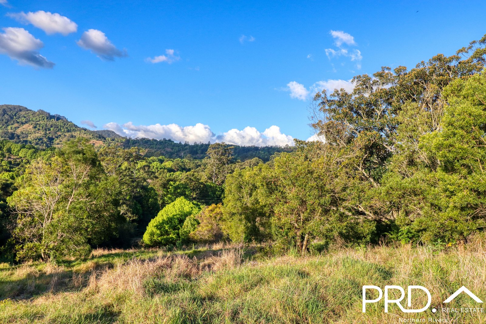 46 Kirkland Road NIMBIN 2