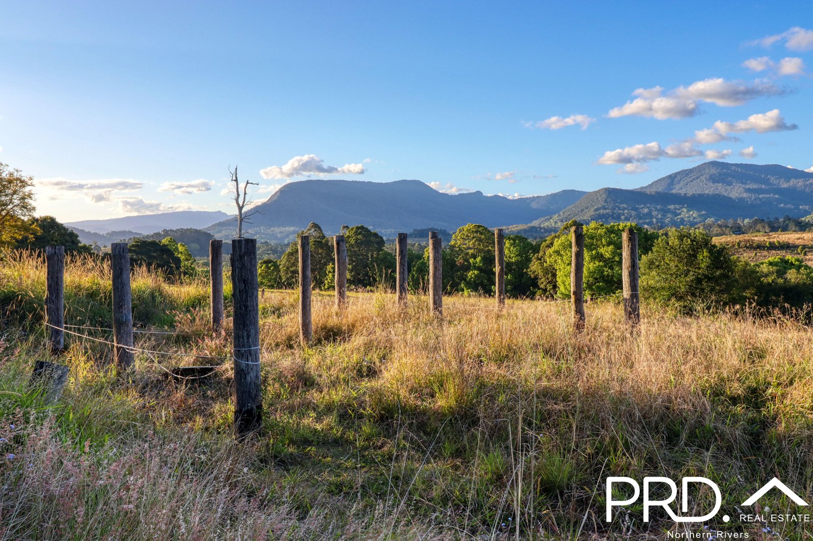 46 Kirkland Road NIMBIN 3