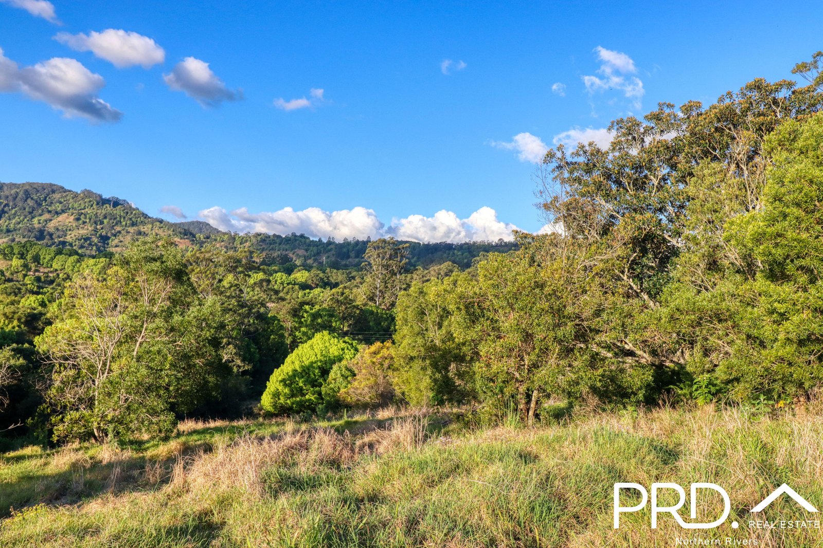 46 Kirkland Road NIMBIN 9