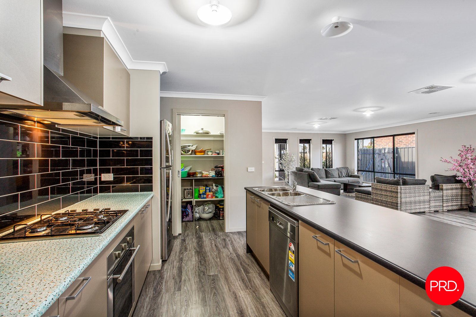 46 Lancaster Drive JACKASS FLAT 4