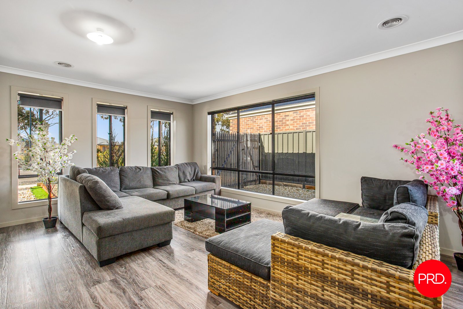 46 Lancaster Drive JACKASS FLAT 9