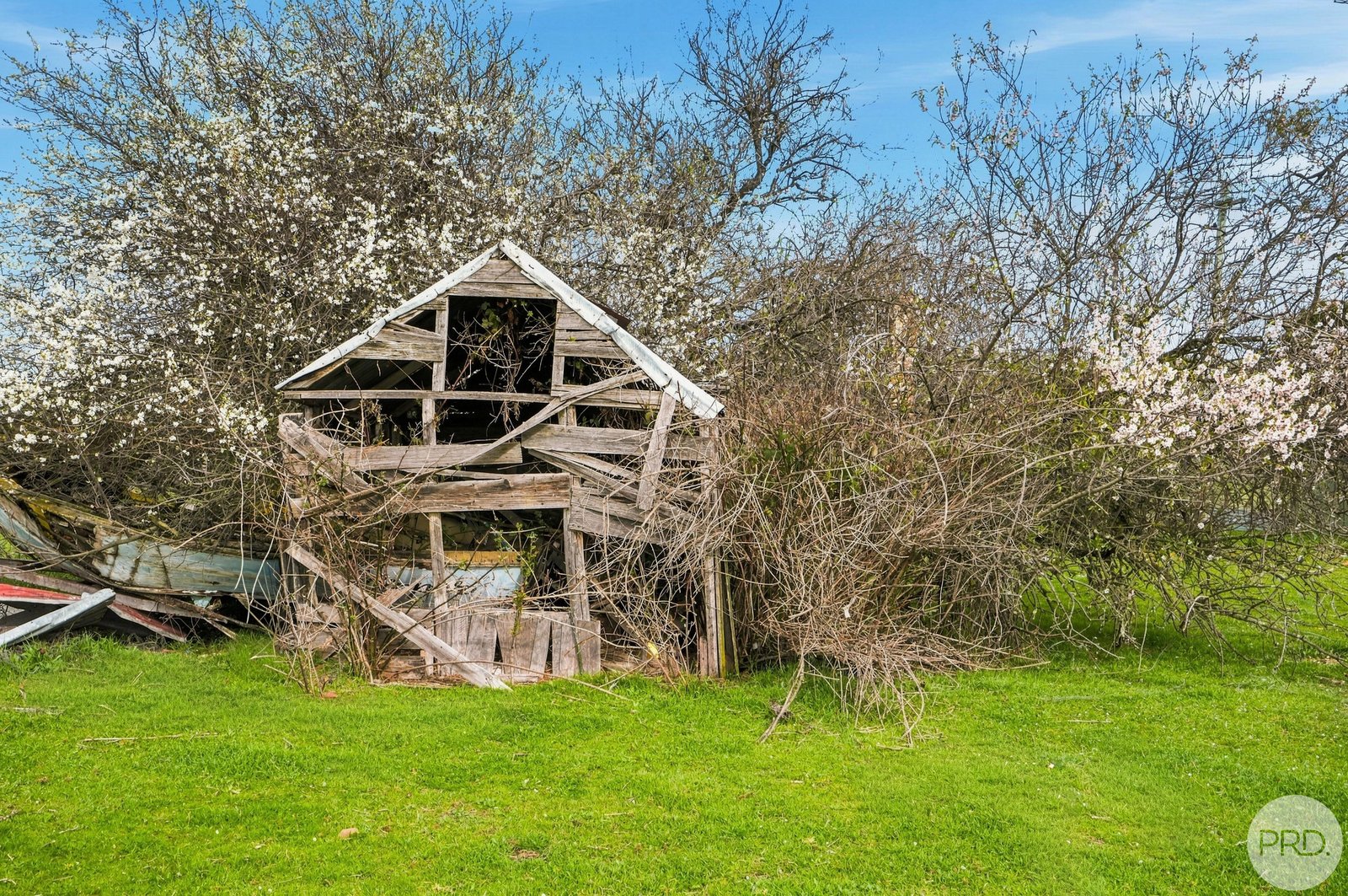 46 Louisa Street KEMPTON 15