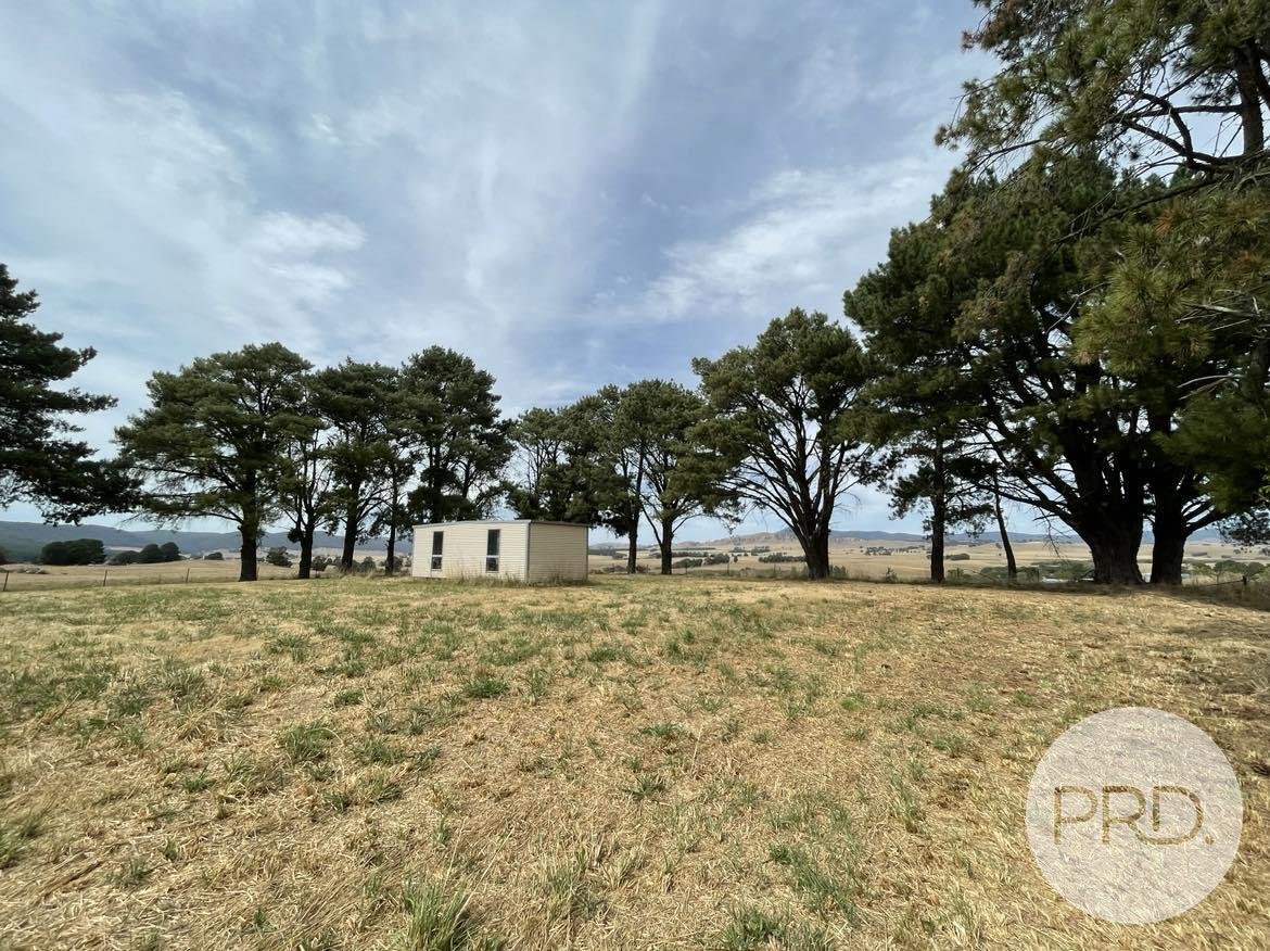 46 Mannus Creek Road TUMBARUMBA 2