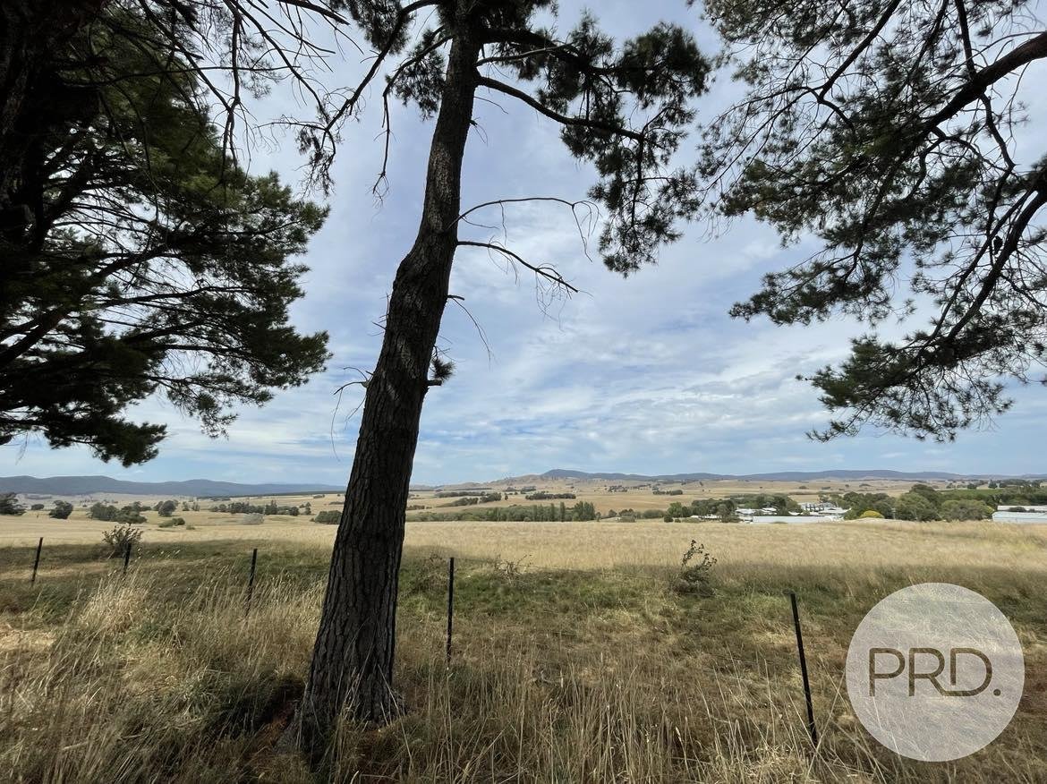 46 Mannus Creek Road TUMBARUMBA 5