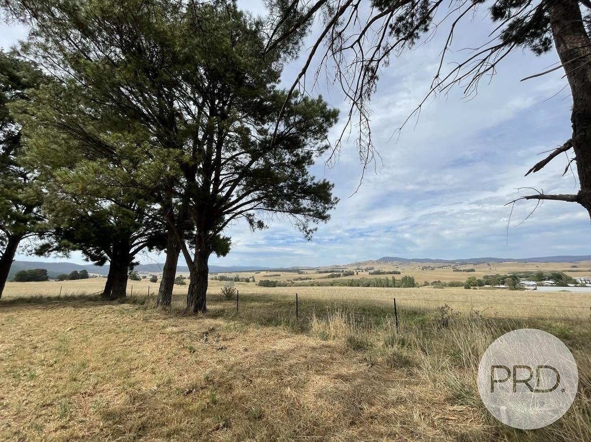 46 Mannus Creek Road TUMBARUMBA 6