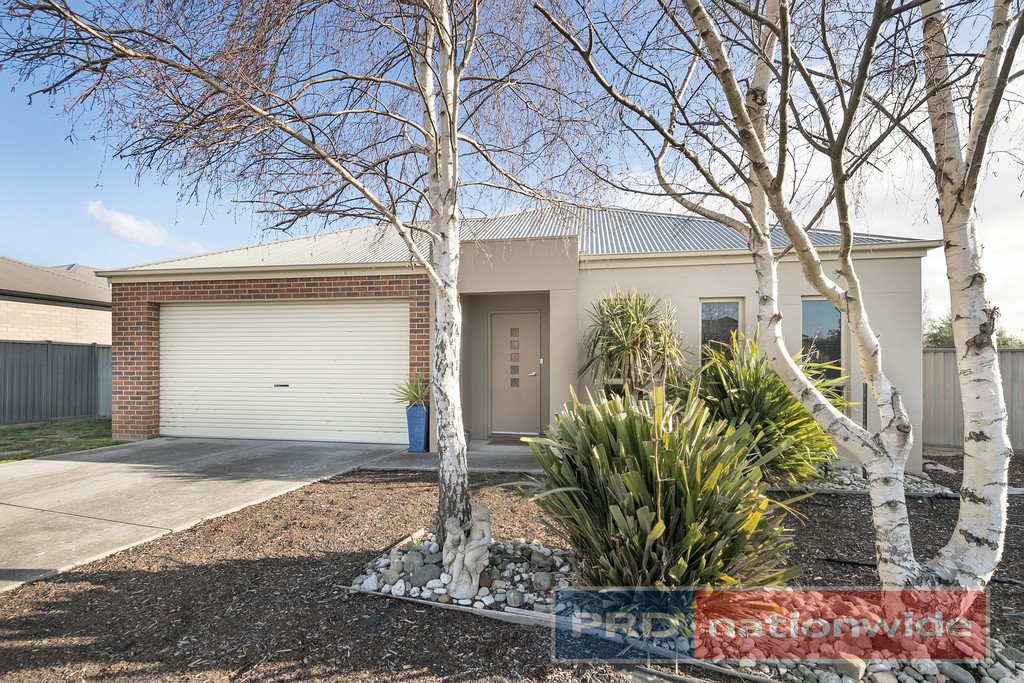 46 Merino Drive ALFREDTON 1