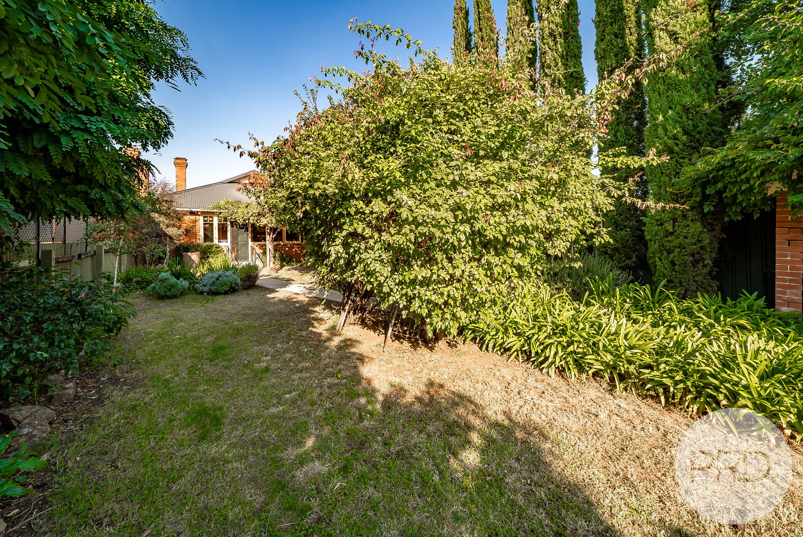 46 Murray Street WAGGA WAGGA 15