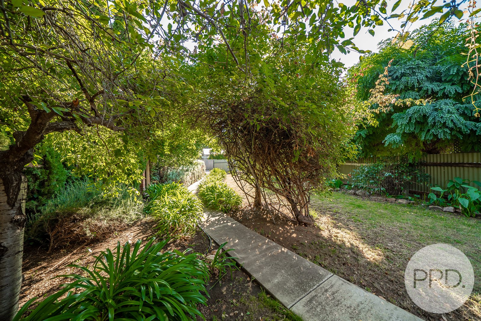 46 Murray Street WAGGA WAGGA 16