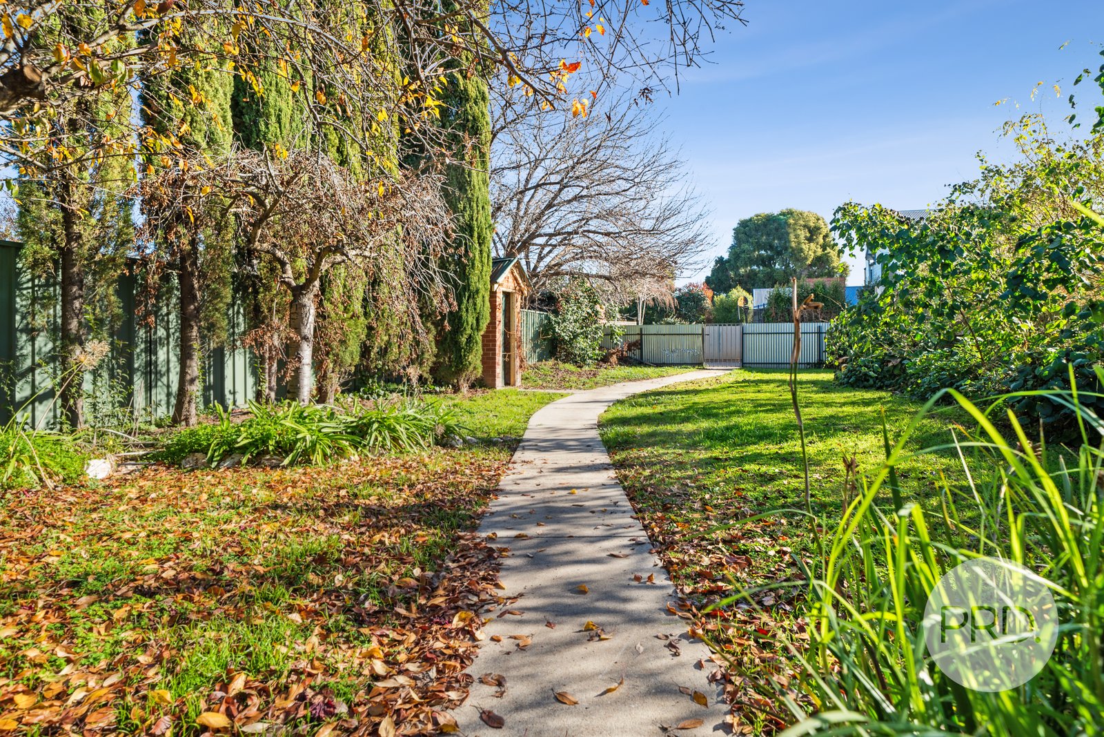 46 Murray Street WAGGA WAGGA 14