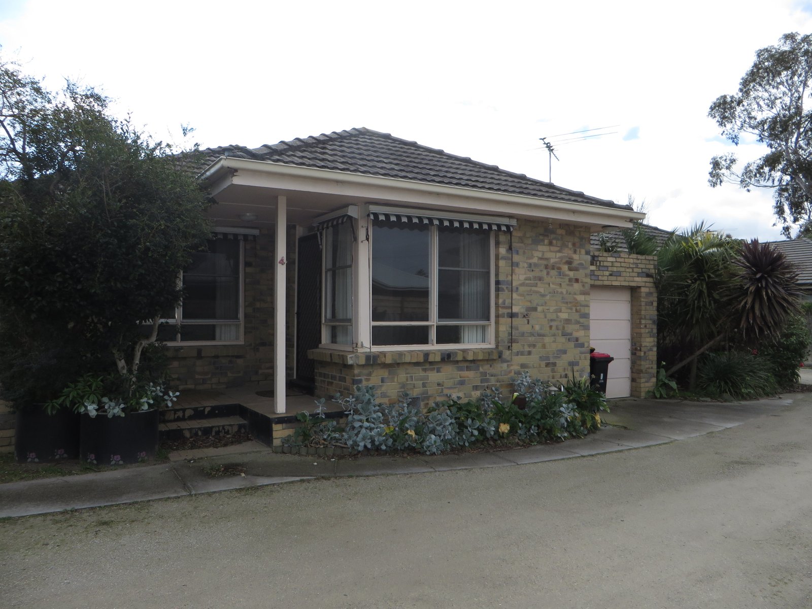 Gallery: 4/6 Patty Street