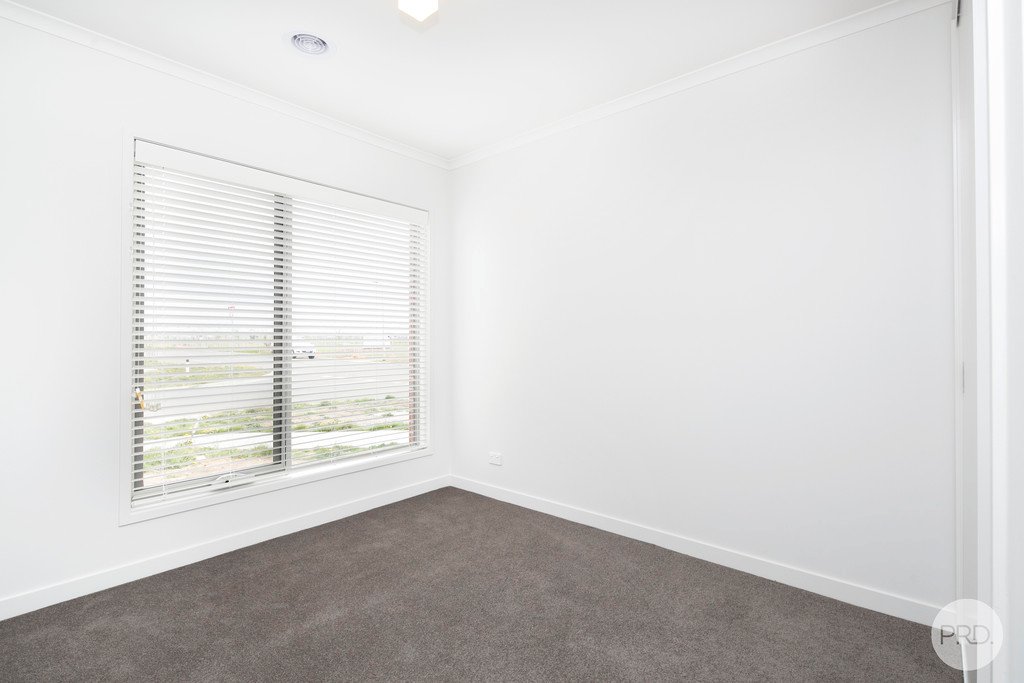 46 Roscommon Avenue ALFREDTON 5
