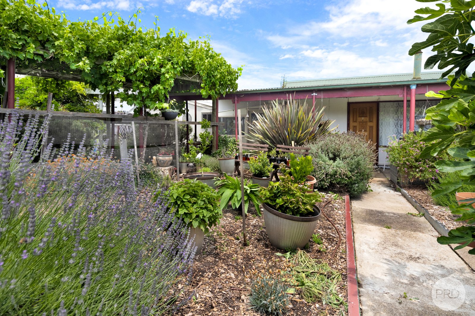 46 Talbot Road CLUNES 8