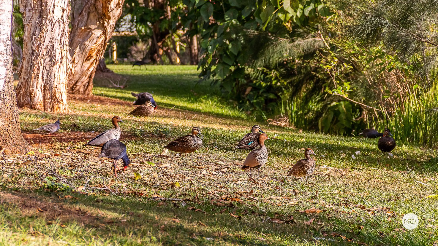 46 THE Boulevard REDLAND BAY 27