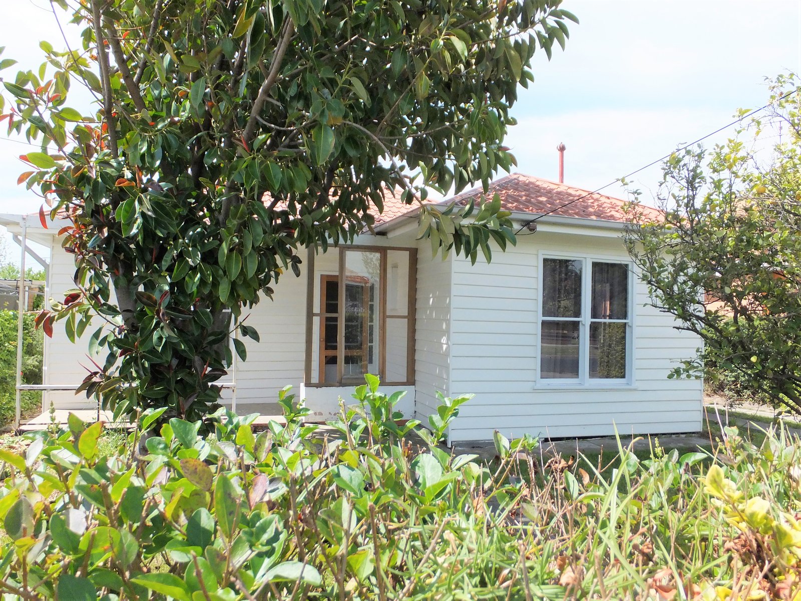 Gallery: 46 Walsgott Street
