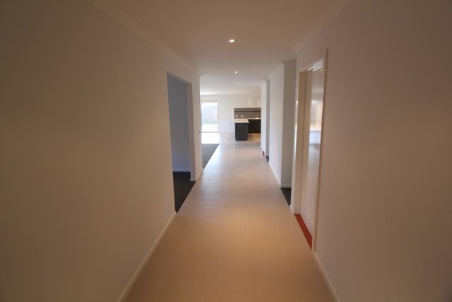 46 Warburton Drive ALFREDTON 11