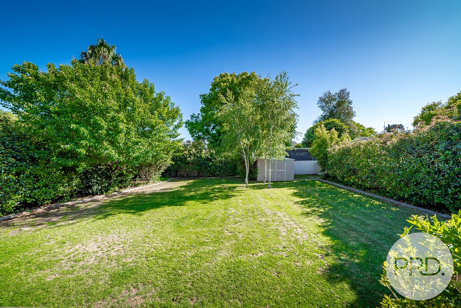 46 White Avenue KOORINGAL 11