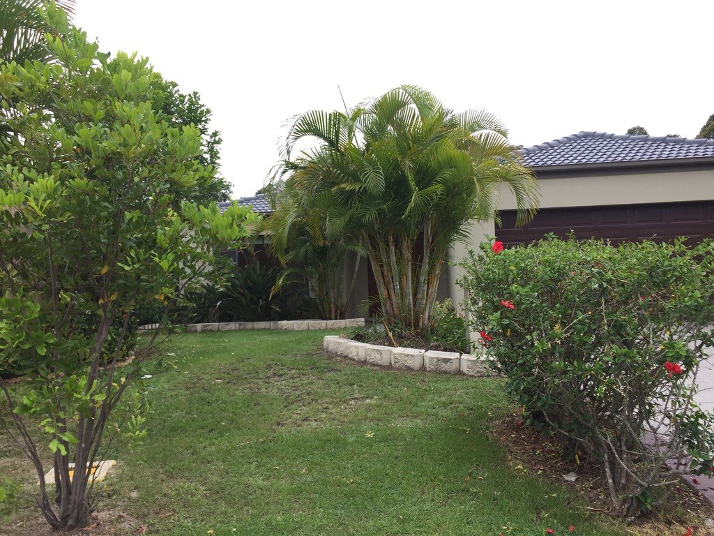 46 Woody Views Way ROBINA 6