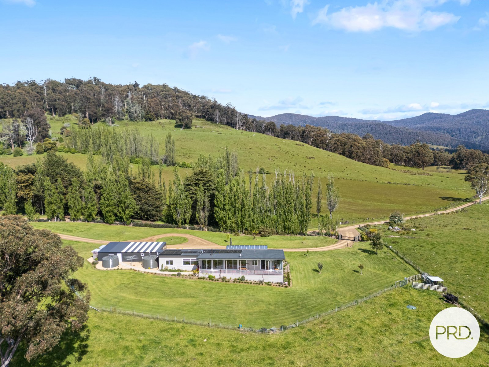 460 Dry Poles Road ELLENDALE 34