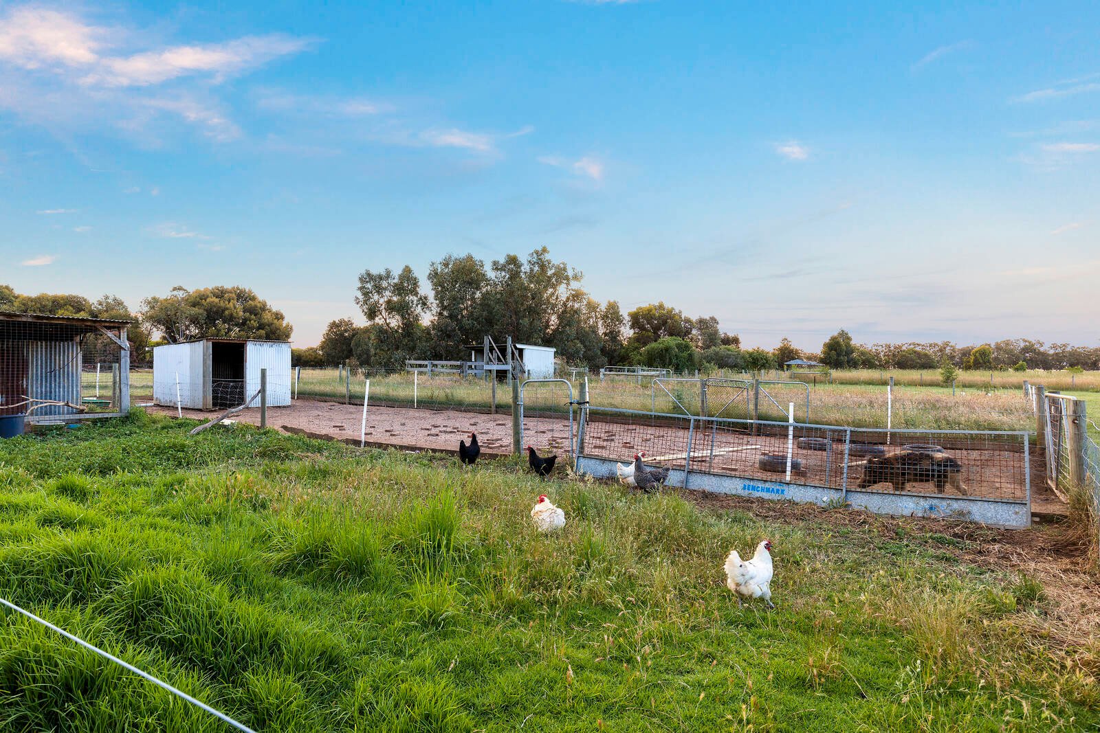 Real Estate and Property in 461-469 Wallington Road, Wallington, VIC