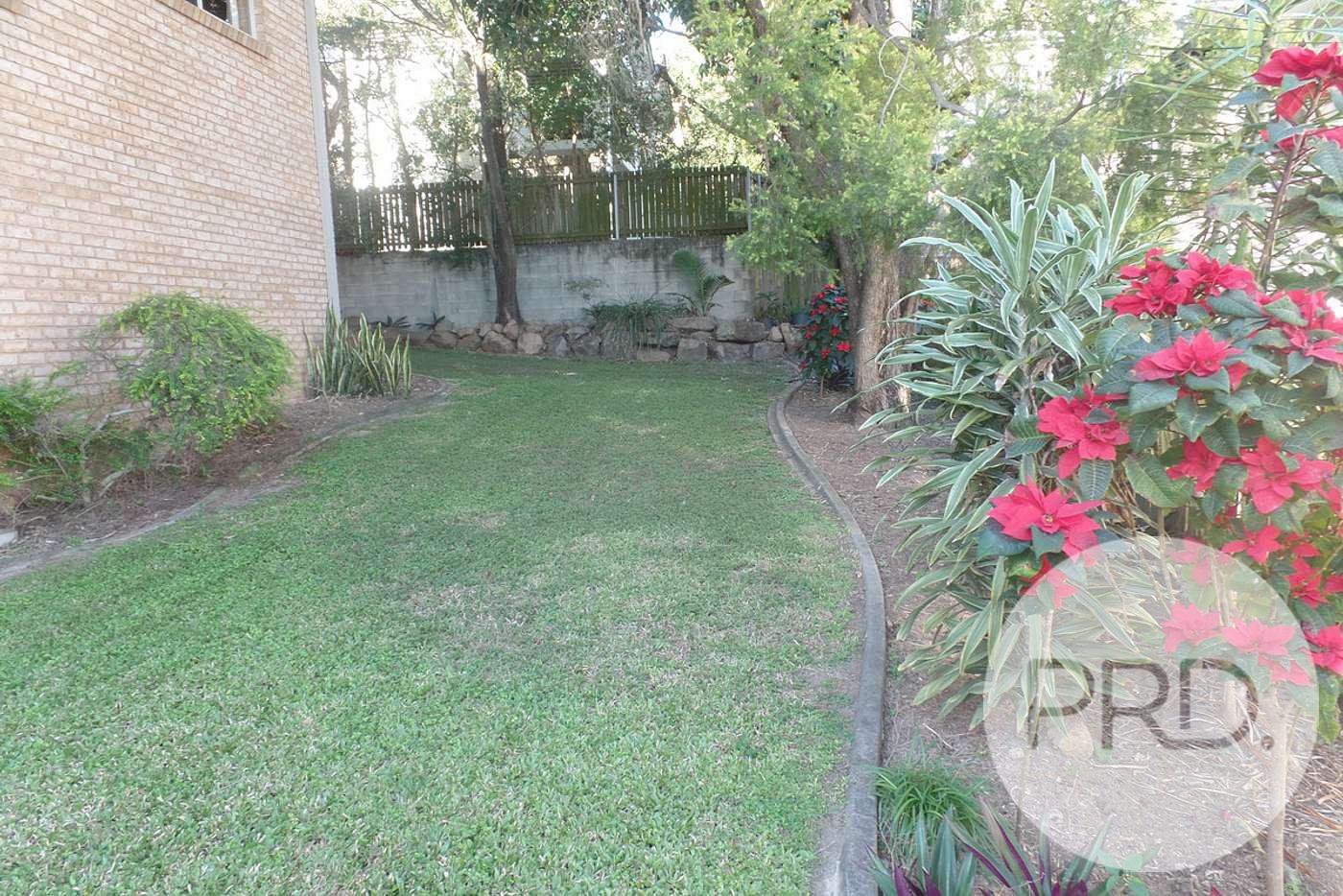 4/61 Fifth Avenue WILSTON 11