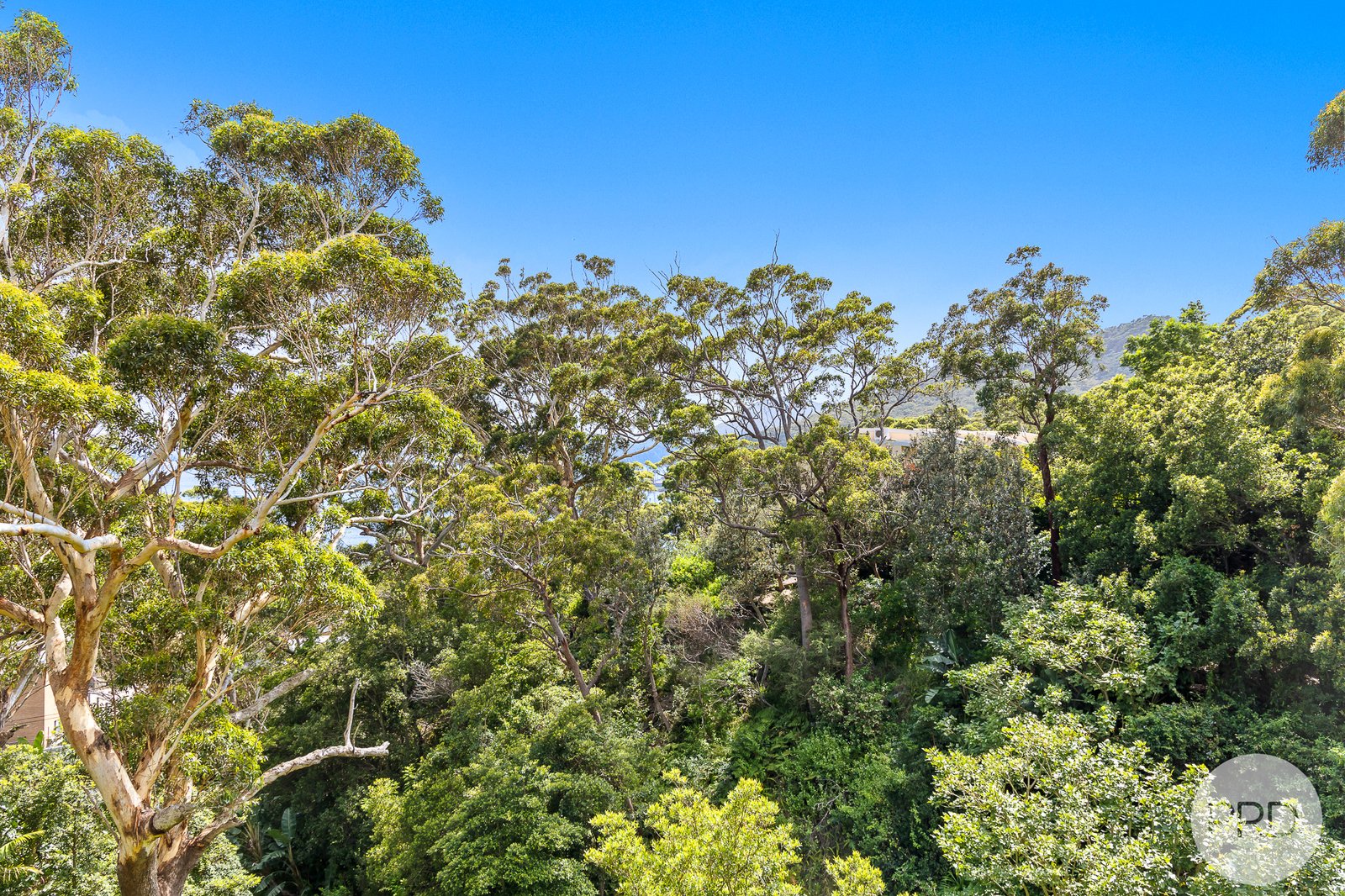 4/61 Ronald Avenue SHOAL BAY 19