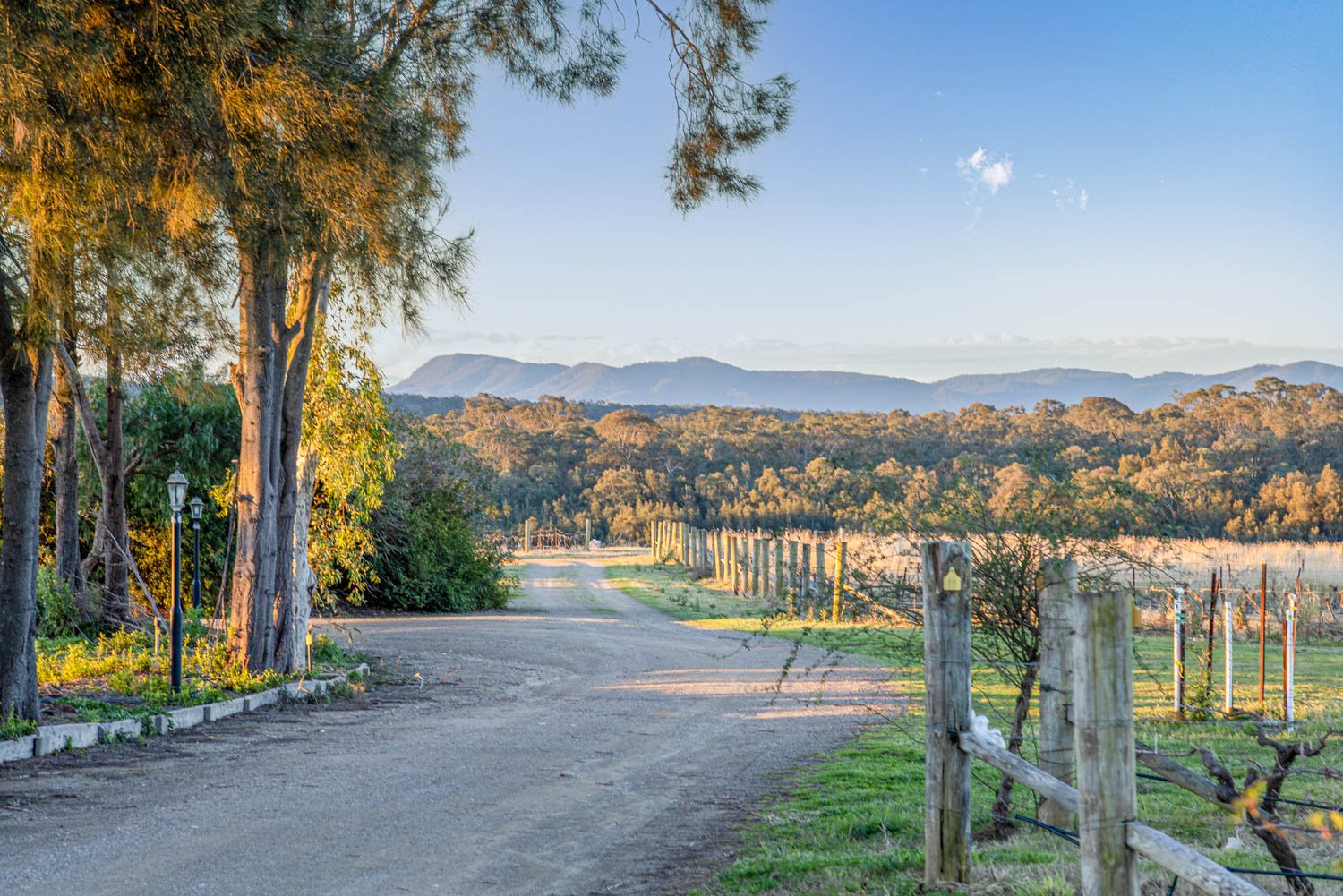 463 Deasys Road POKOLBIN 2