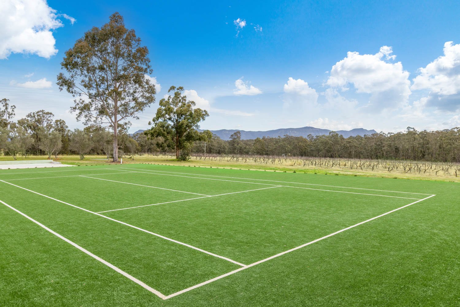 463 Deasys Road POKOLBIN 5