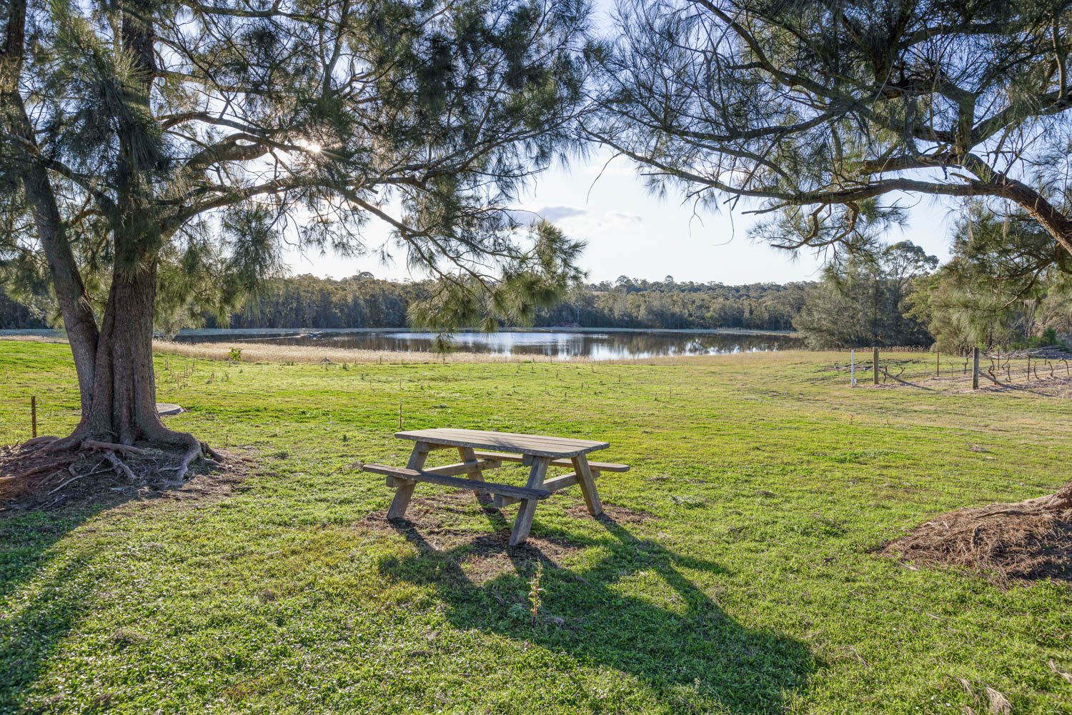463 Deasys Road POKOLBIN 22