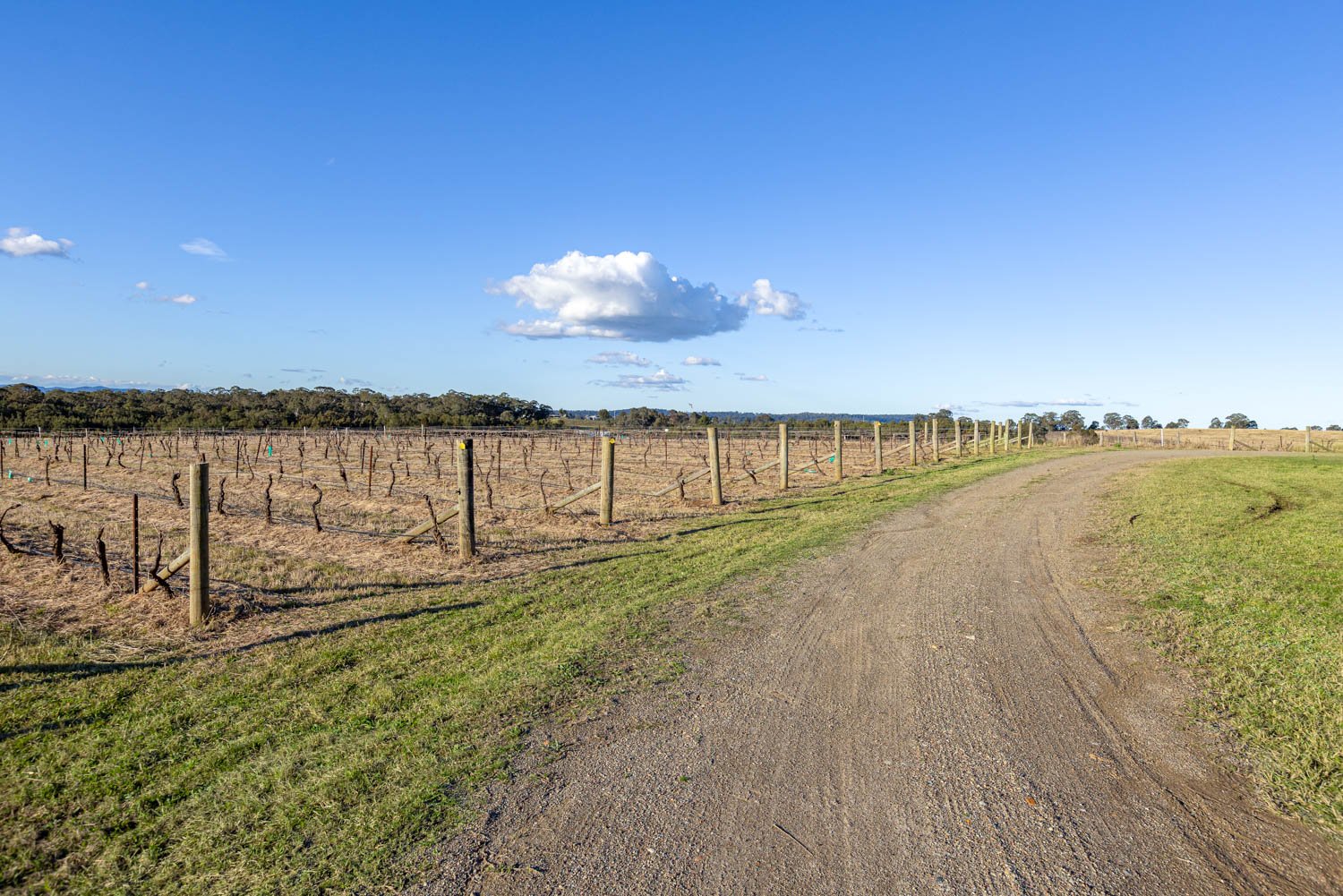 463 Deasys Road POKOLBIN 24