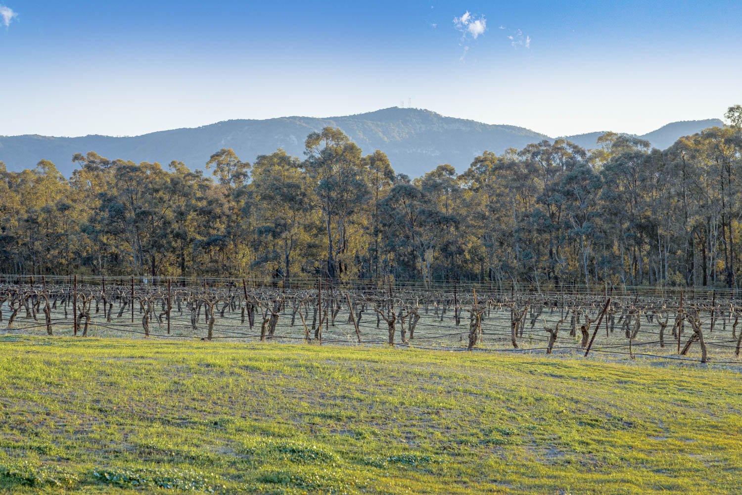463 Deasys Road POKOLBIN 25
