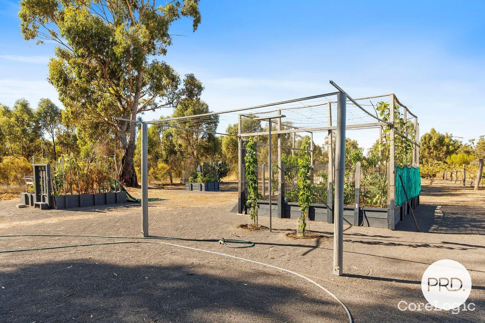 464 Goulburn Weir-Murchison Road GOULBURN WEIR 9