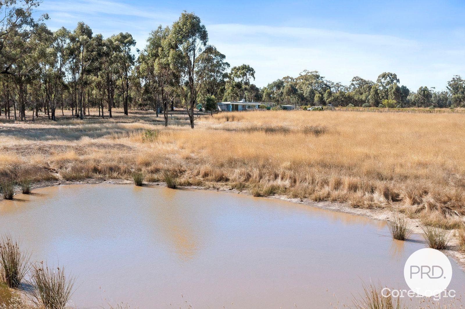 464 Goulburn Weir-Murchison Road GOULBURN WEIR 13