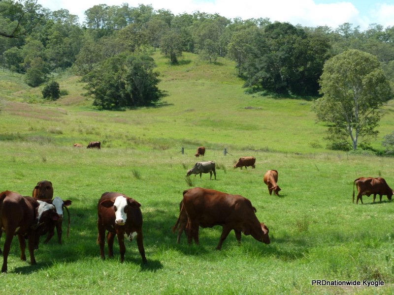 466 Dunns Road, Doubtful Creek Road KYOGLE 4
