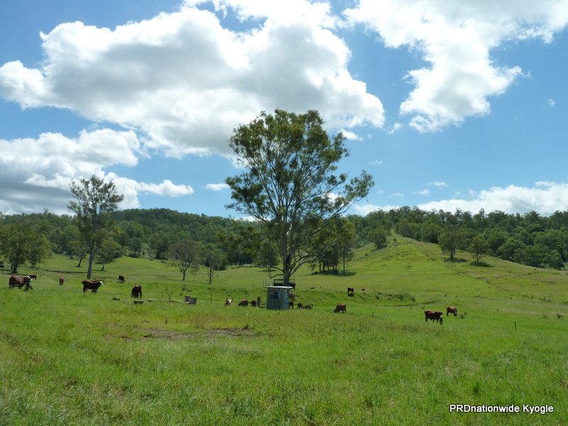 466 Dunns Road, Doubtful Creek Road KYOGLE 6