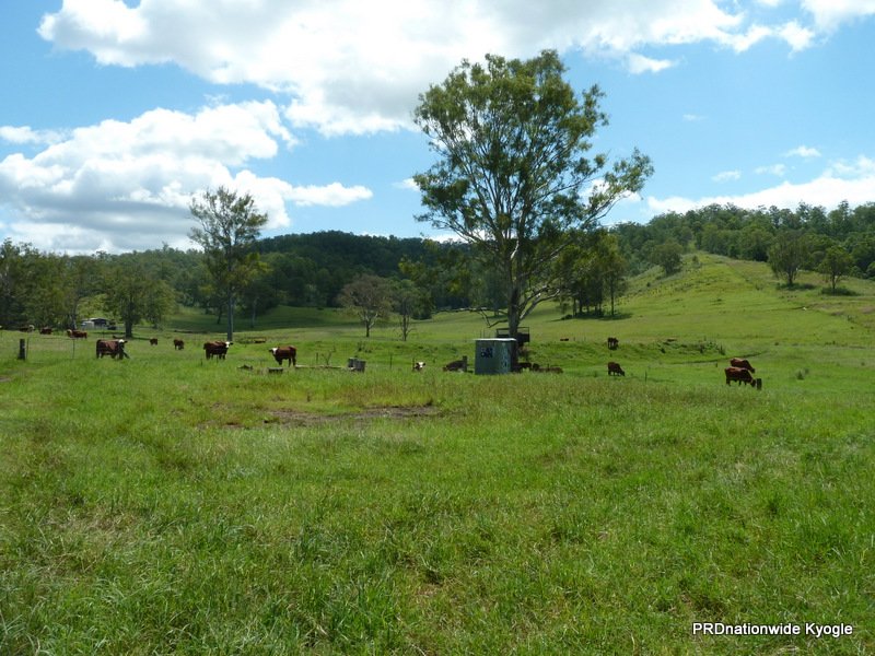 466 Dunns Road, Doubtful Creek Road KYOGLE 7