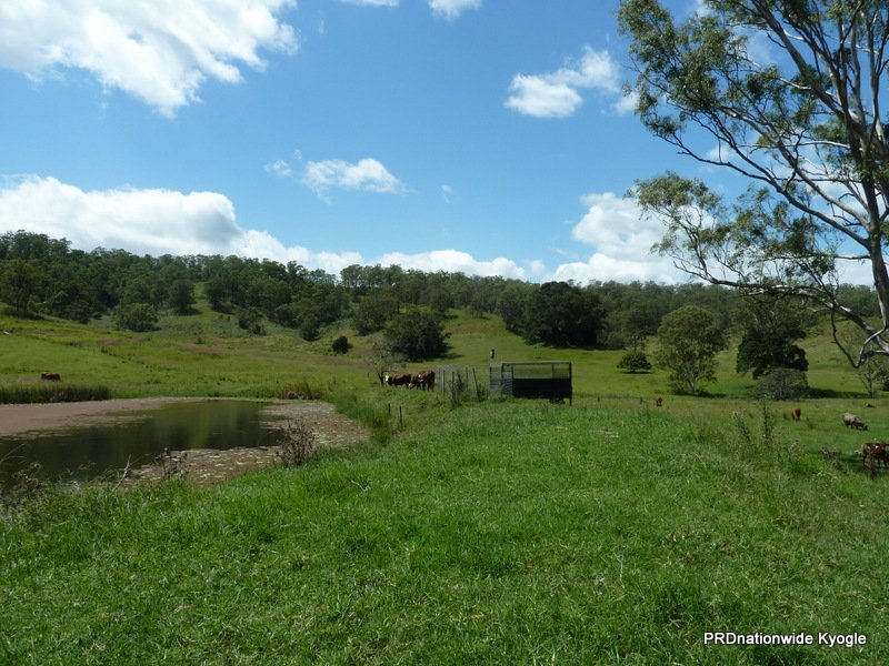 466 Dunns Road, Doubtful Creek Road KYOGLE 8