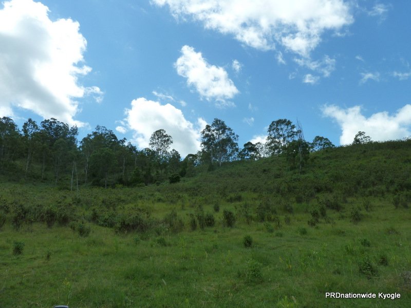466 Dunns Road, Doubtful Creek Road KYOGLE 14
