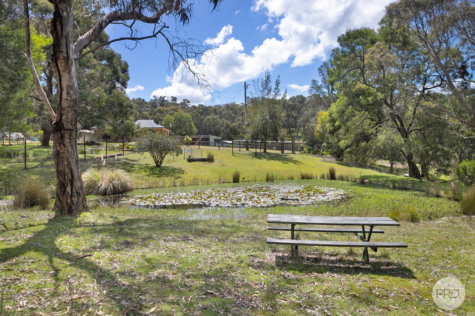 466 Tannery Road SMYTHESDALE 15