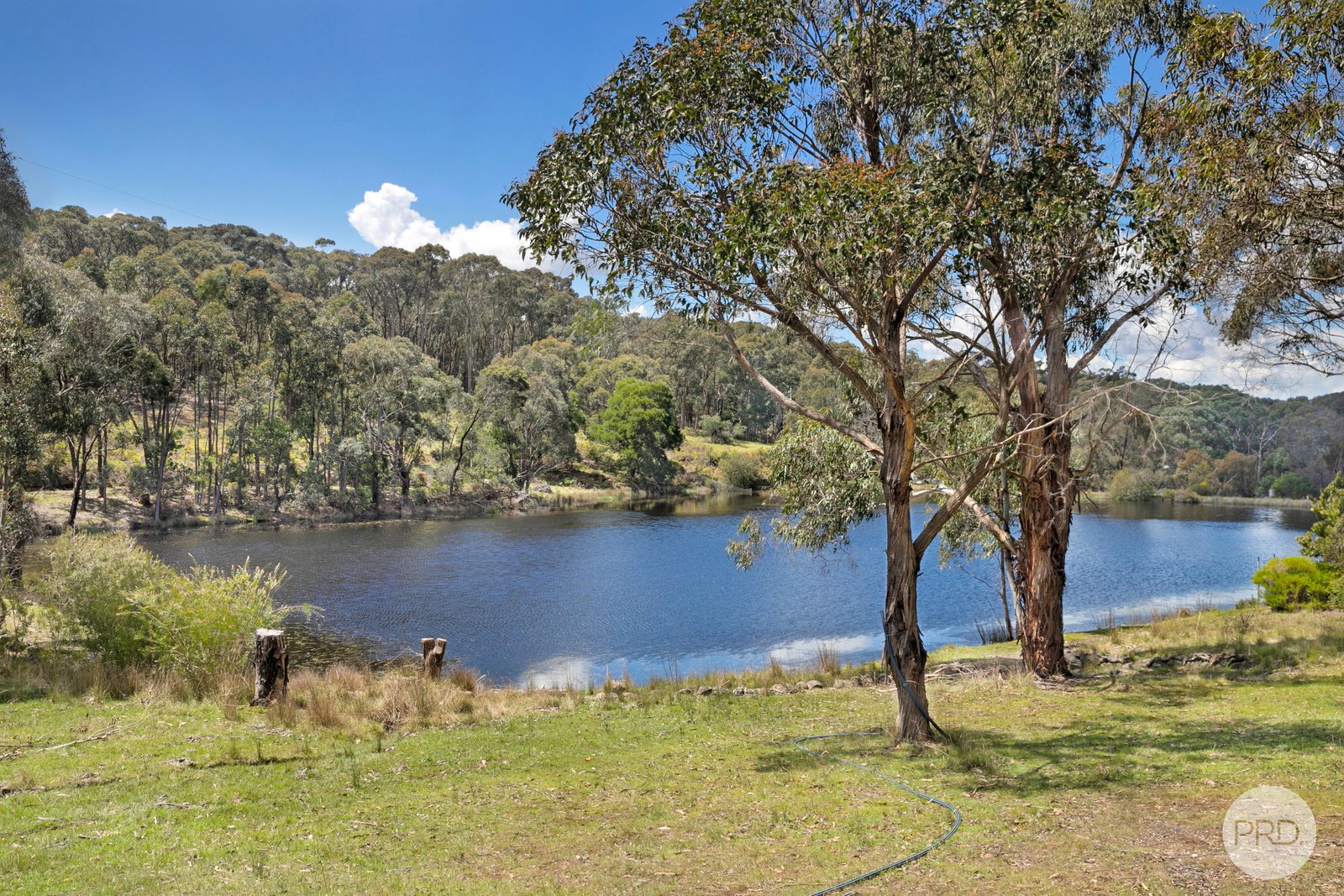 466 Tannery Road SMYTHESDALE 19