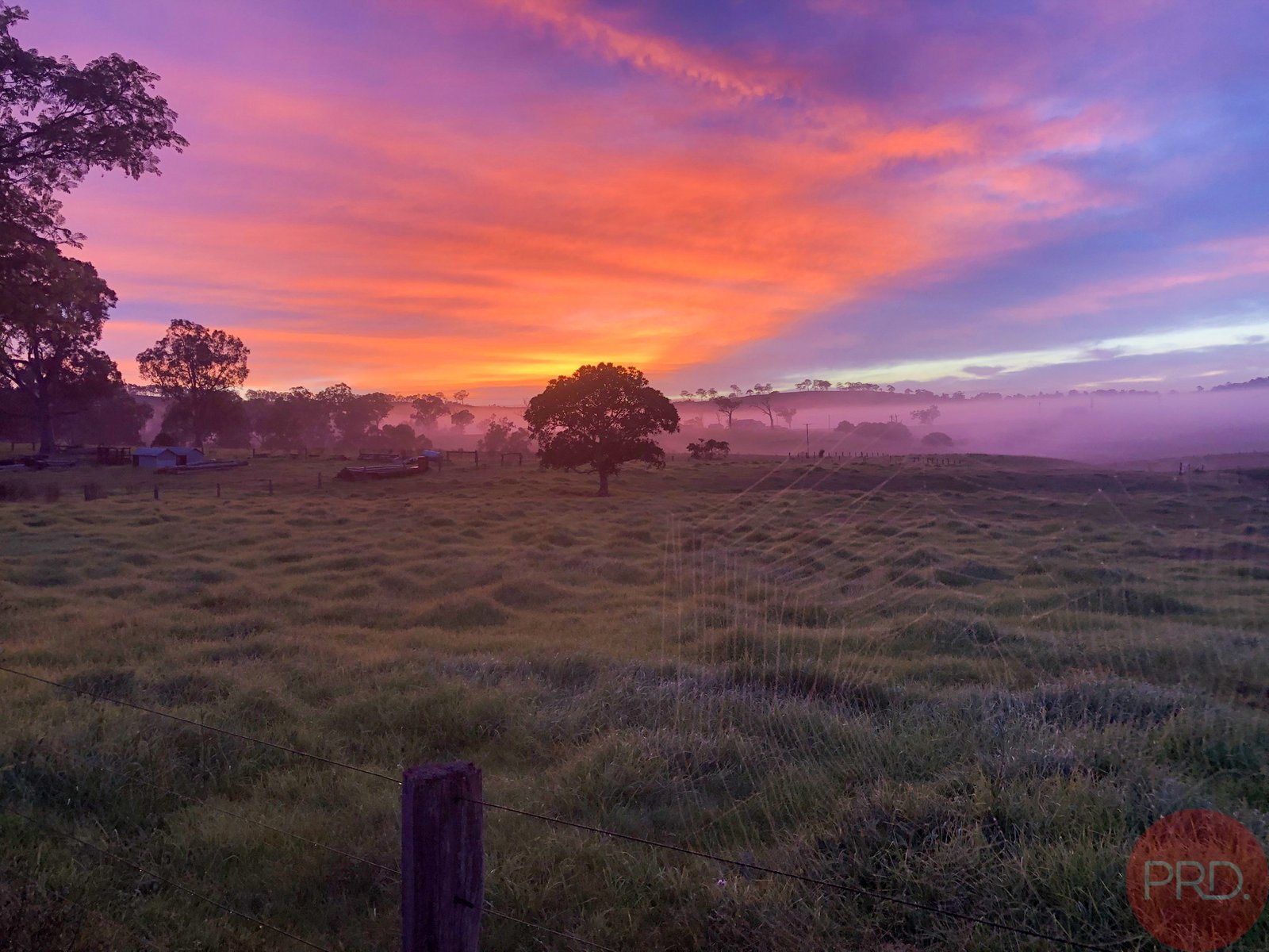 467 Maitland Vale Road MAITLAND VALE 12