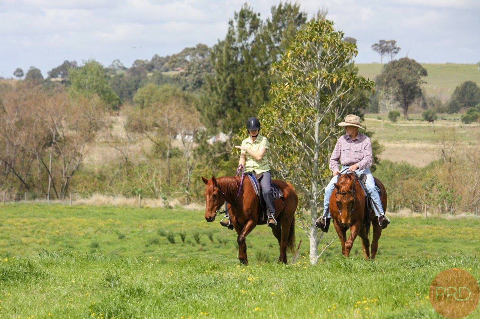 467 Maitland Vale Road MAITLAND VALE 14