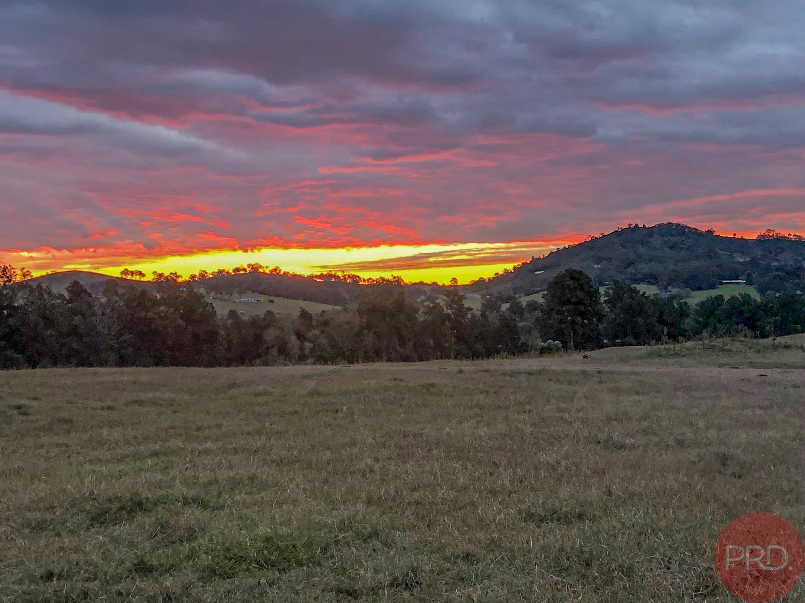 467 Maitland Vale Road MAITLAND VALE 15