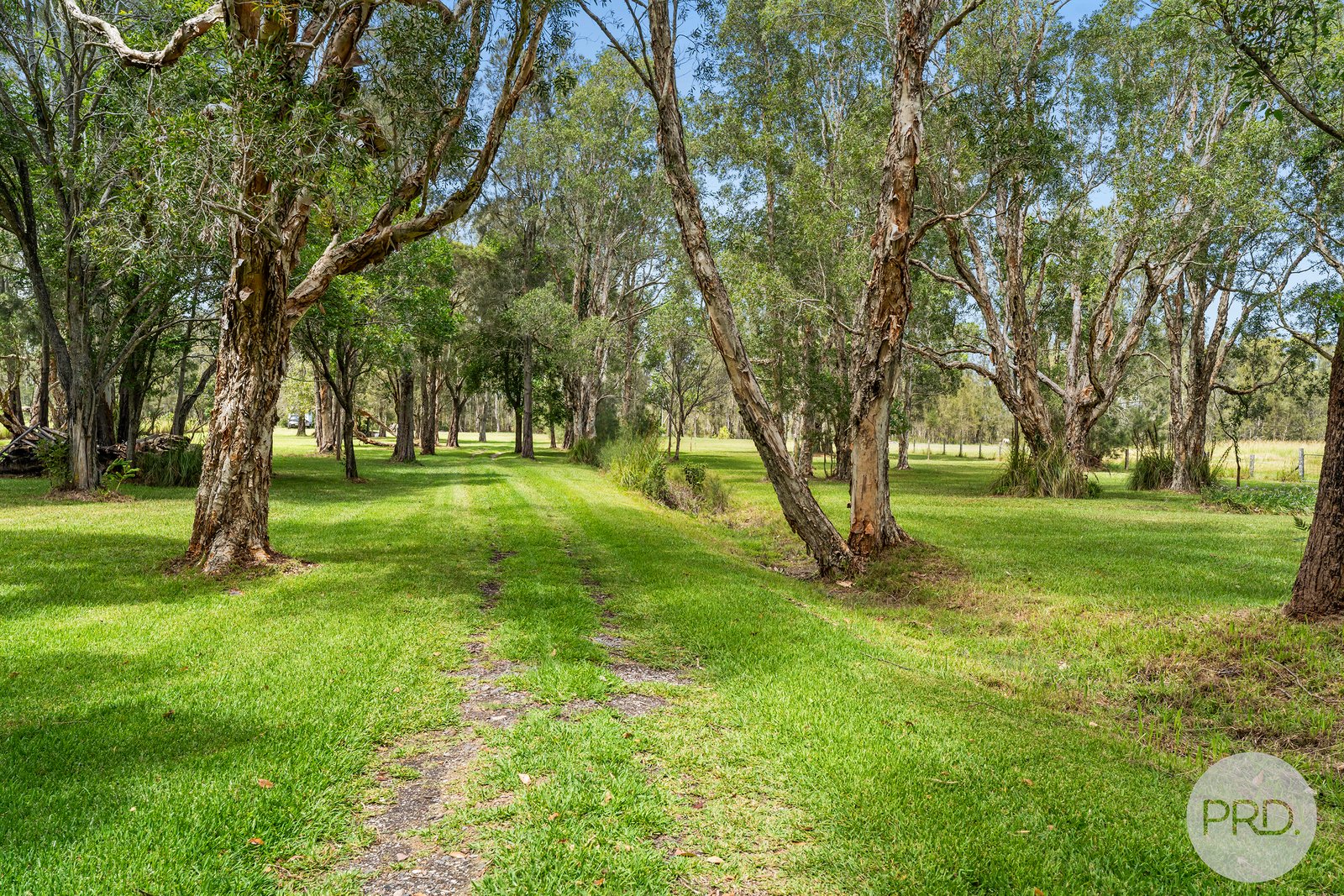 468 Lemon Tree Passage Road SALT ASH 29