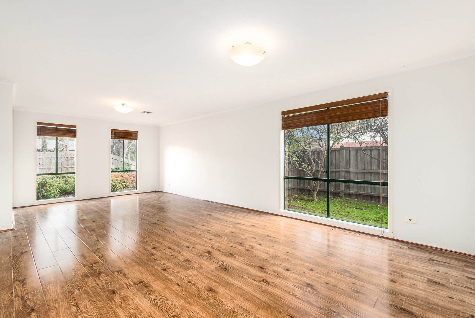Gallery: 46A Earlsfield Road