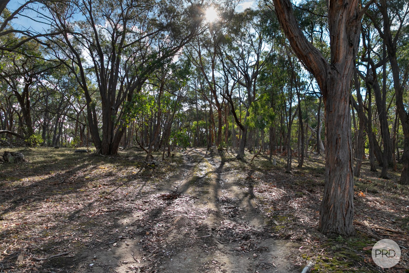 46B Happy Valley Crossing Road HAPPY VALLEY 9