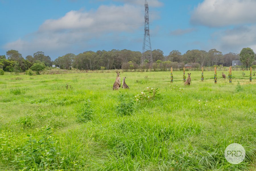 47-51 Samuel Marsden Road ORCHARD HILLS 4